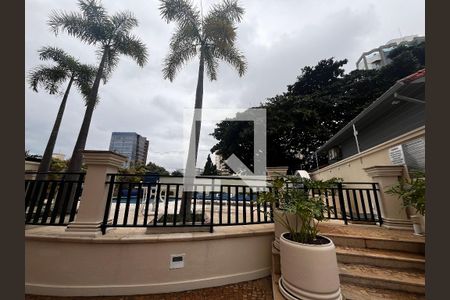 Área comum - Piscina de apartamento à venda com 3 quartos, 186m² em Cambuí, Campinas
