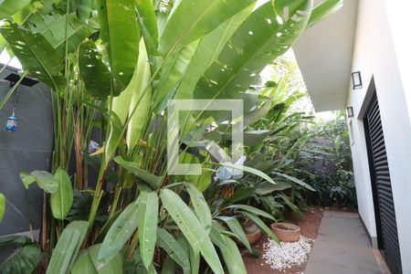Área Externa de casa de condomínio para alugar com 2 quartos, 400m² em Jardim Sul, Uberlândia