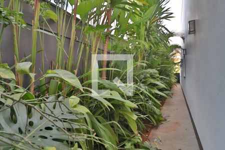 Área Externa de casa de condomínio para alugar com 2 quartos, 400m² em Jardim Sul, Uberlândia