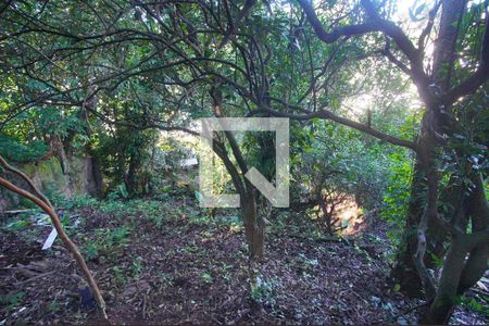 Quintal de casa à venda com 2 quartos, 100m² em Rondônia, Novo Hamburgo