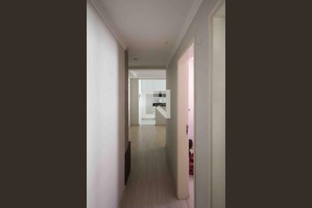 Corredor de apartamento para alugar com 2 quartos, 44m² em Jardim Santa Teresinha, São Paulo