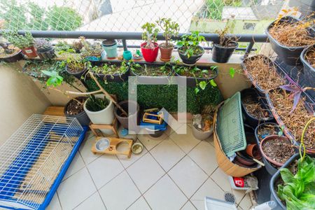 Varanda de apartamento à venda com 3 quartos, 70m² em Cidade Mãe do Céu, São Paulo