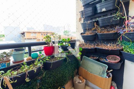 Varanda de apartamento à venda com 3 quartos, 70m² em Cidade Mãe do Céu, São Paulo