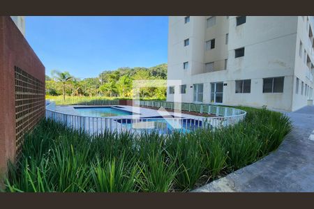 Área comum - Piscina de apartamento para alugar com 3 quartos, 62m² em Morro Nova Cintra, Santos