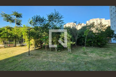 Jardim de apartamento para alugar com 3 quartos, 62m² em Morro Nova Cintra, Santos