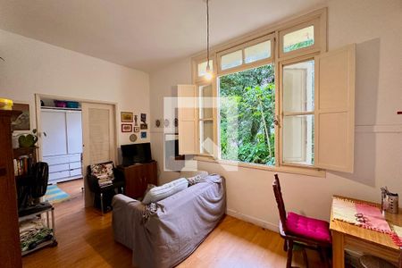 Sala de apartamento para alugar com 1 quarto, 50m² em Santa Teresa, Rio de Janeiro