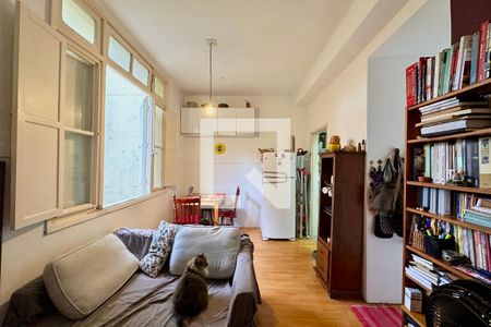 Sala de apartamento para alugar com 1 quarto, 50m² em Santa Teresa, Rio de Janeiro