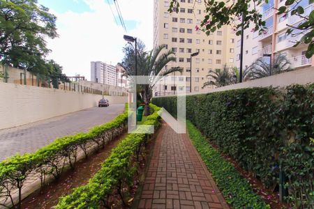 Entrada de apartamento para alugar com 2 quartos, 44m² em Brás, São Paulo
