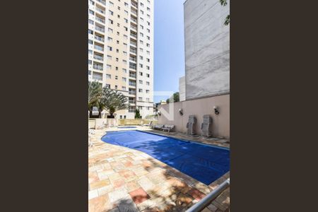 Área comum - Piscina de apartamento à venda com 3 quartos, 64m² em Paulicéia, São Bernardo do Campo