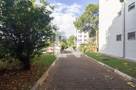 Área comum de apartamento para alugar com 3 quartos, 78m² em Itaquera, São Paulo