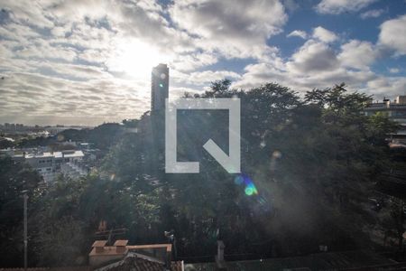 Vista da Varanda 2 de apartamento à venda com 3 quartos, 358m² em Cristal, Porto Alegre