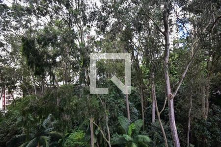 Vista do Quarto 1 de apartamento à venda com 2 quartos, 48m² em Vila Suzana, São Paulo