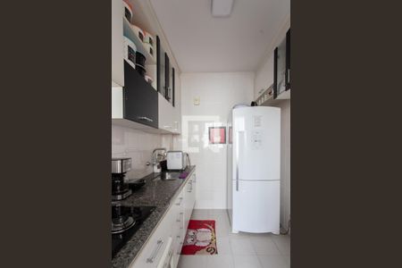 Cozinha de apartamento à venda com 3 quartos, 107m² em Santa Amelia, Belo Horizonte
