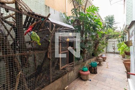 Quintal de casa à venda com 4 quartos, 350m² em Água Branca, São Paulo