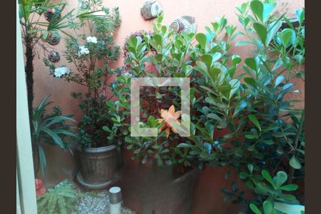 Casa à venda com 3 quartos, 230m² em Parque Taquaral, Campinas