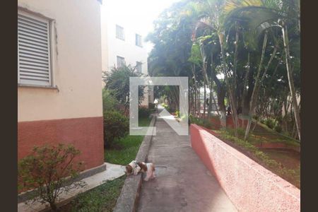 Apartamento à venda com 3 quartos, 75m² em Jardim Garcia, Campinas