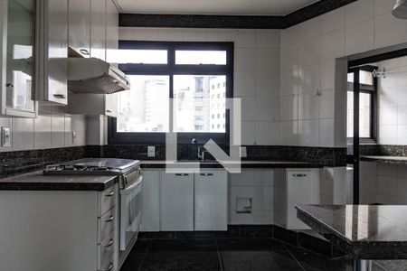 Cozinha de apartamento para alugar com 3 quartos, 388m² em Belvedere, Belo Horizonte