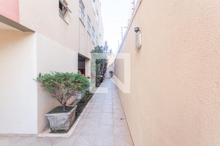 Hall de entrada de apartamento para alugar com 3 quartos, 80m² em União, Belo Horizonte