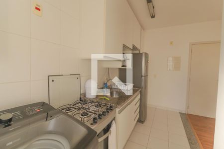 Cozinha e Área de Serviço de apartamento para alugar com 2 quartos, 72m² em Jardim Ana Maria, Jundiaí