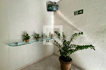 Área comum de apartamento à venda com 4 quartos, 128m² em São Pedro, Belo Horizonte