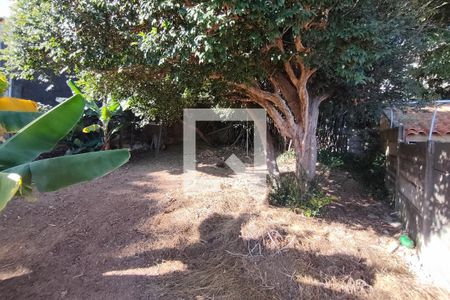 Quintal de casa à venda com 3 quartos, 295m² em Vila Marieta, Campinas