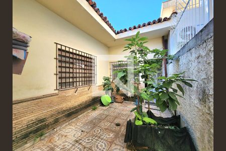 Quintal de casa à venda com 3 quartos, 360m² em Indianópolis, São Paulo