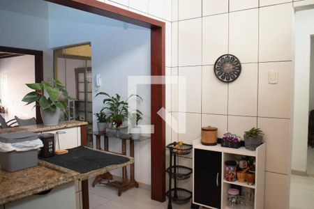 Cozinha de casa para alugar com 4 quartos, 232m² em Vicentina, São Leopoldo