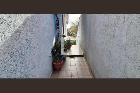 Quintal de casa à venda com 2 quartos, 246m² em Vila Palmares, São Caetano do Sul