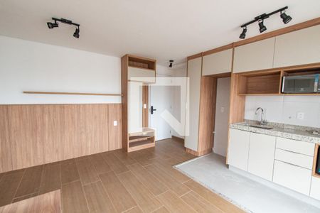 Sala/quarto de kitnet/studio para alugar com 1 quarto, 30m² em Vila Dom Pedro I, São Paulo