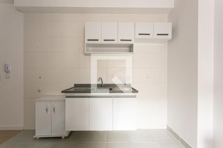 Cozinha de apartamento para alugar com 1 quarto, 30m² em Vila Carrão, São Paulo