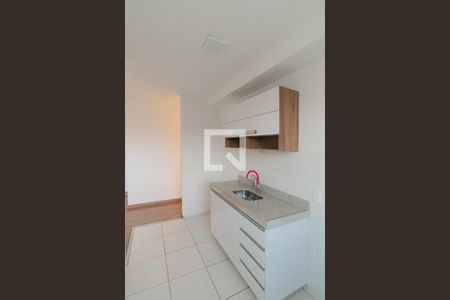 Cozinha de apartamento para alugar com 2 quartos, 52m² em Bandeirantes (pampulha), Belo Horizonte