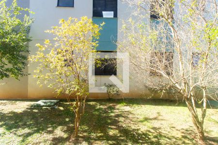 Vista do Quarto 2 de apartamento para alugar com 2 quartos, 54m² em Jardim Isis, Cotia