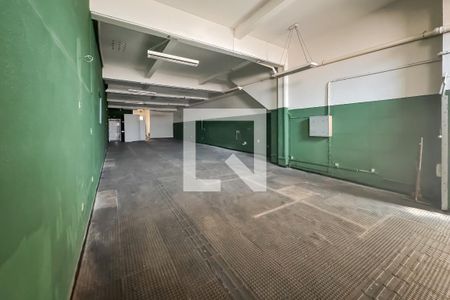 Térreo de casa para alugar com 3 quartos, 447m² em Cambuci, São Paulo