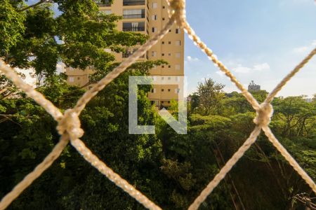 Vista da Varanda da Sala de apartamento para alugar com 2 quartos, 72m² em Jardim Londrina, São Paulo