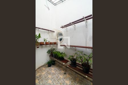 Sala - Jardim de Inverno de casa à venda com 3 quartos, 200m² em Parque Jabaquara, São Paulo