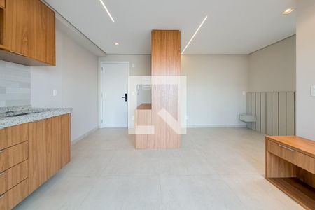 Sala/cozinha de kitnet/studio para alugar com 1 quarto, 30m² em Vila Dom Pedro I, São Paulo