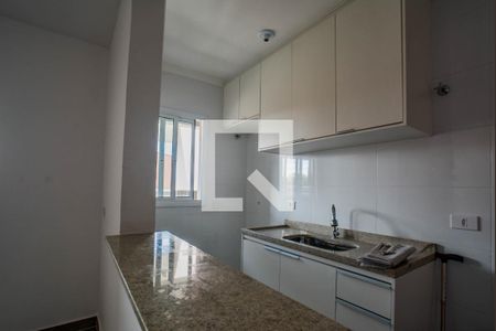 Cozinha de apartamento para alugar com 2 quartos, 54m² em Silveira, Santo André