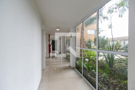 Hall Social de apartamento à venda com 1 quarto, 24m² em Vila Campanela, São Paulo