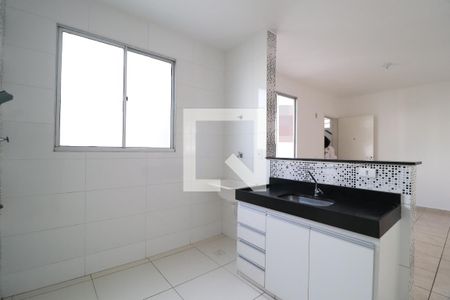 Cozinha de apartamento para alugar com 2 quartos, 45m² em Chácaras Tubalina E Quartel, Uberlândia