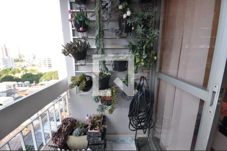 Sacada da Sala de apartamento à venda com 2 quartos, 58m² em Vila Mazzei, São Paulo