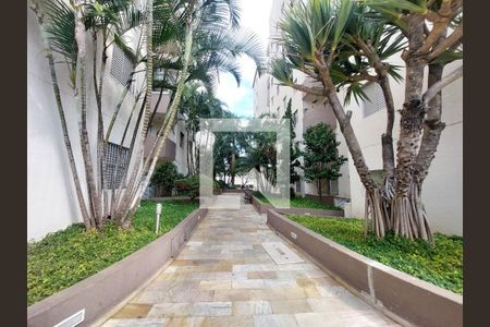 Área comum de apartamento à venda com 2 quartos, 56m² em Vila Inglesa, São Paulo
