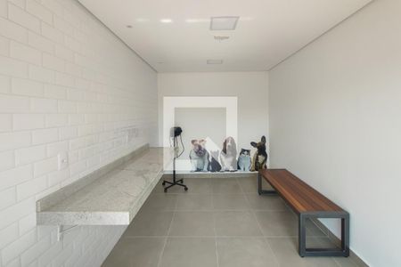 Área comum - Área Pet de apartamento para alugar com 2 quartos, 64m² em Parque Prado, Campinas