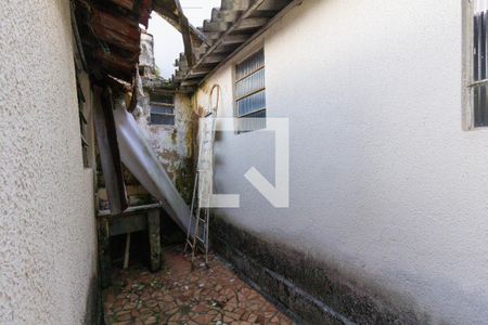 Quintal de casa à venda com 5 quartos, 235m² em Vila Ré, São Paulo