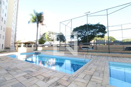 Área comum - Piscina de apartamento para alugar com 2 quartos, 65m² em Jardim Augusta, São José dos Campos