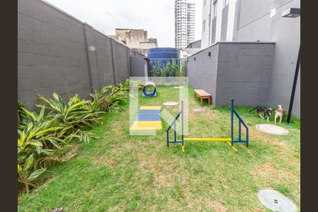 Área comum - Espaço Pet de apartamento à venda com 1 quarto, 26m² em Belenzinho, São Paulo
