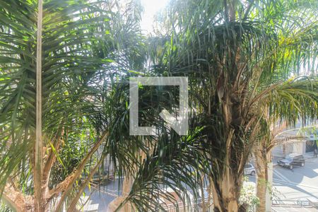 Varanda da Sala de apartamento para alugar com 2 quartos, 52m² em Vila Bela, São Paulo