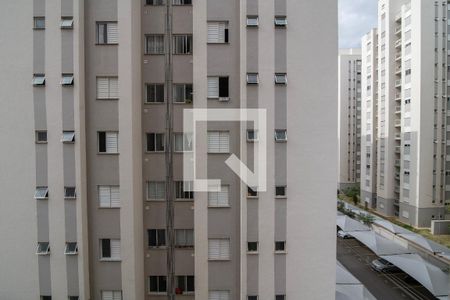 Vista do Quarto 1 de apartamento para alugar com 2 quartos, 53m² em Jardim Sao Bento, Hortolândia