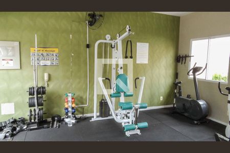 Área comum - Academia de apartamento para alugar com 2 quartos, 54m² em Novo Osasco, Osasco