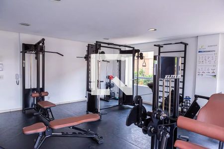 Área comum - Academia de apartamento à venda com 3 quartos, 65m² em Vila Marieta, São Paulo