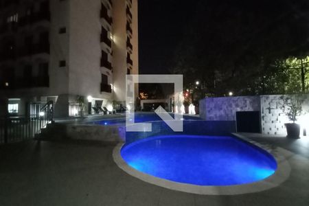 Área comum - Piscina de apartamento à venda com 3 quartos, 116m² em Jardim das Paineiras, Campinas